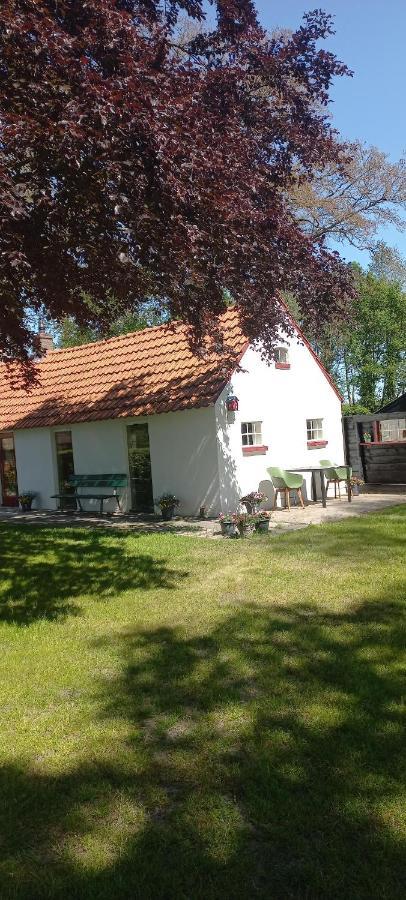 Vakantiewoning 'T Bakhuus Bergentheim Extérieur photo